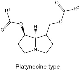 Platynecine_type